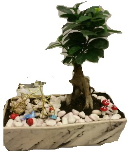 Japon aac bonsai sat  Ankara iek servisi , ieki adresleri 