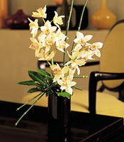  Ankara internetten iek sat  cam yada mika vazo ierisinde dal orkide