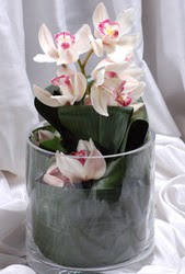  Ankara Cebeci online iek gnderme sipari  Cam yada mika vazo ierisinde tek dal orkide