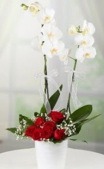 2 dall beyaz orkide 7 adet krmz gl  Ankara Cebeci 14 ubat sevgililer gn iek 