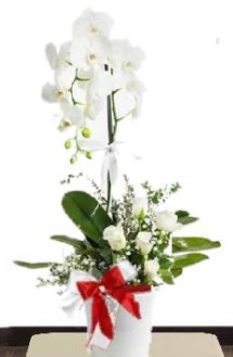 Tek dall beyaz orkide 5 beyaz gl  Ankara dikimevi iek siparii sitesi 