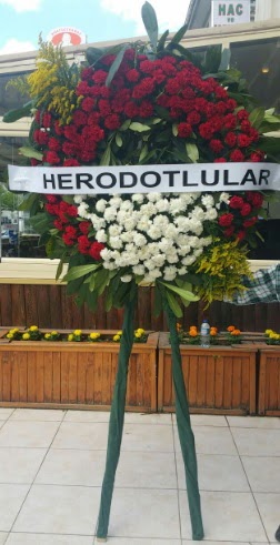 Cenaze elengi cenazeye iek modeli  Ankara ucuz iek gnder 