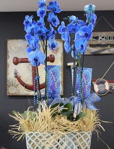 4 dall zel mavi orkide  Ankara kavakldere iek siparii vermek 